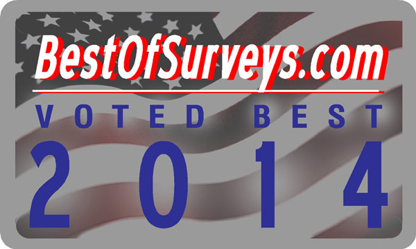 Best of Surveys 2014