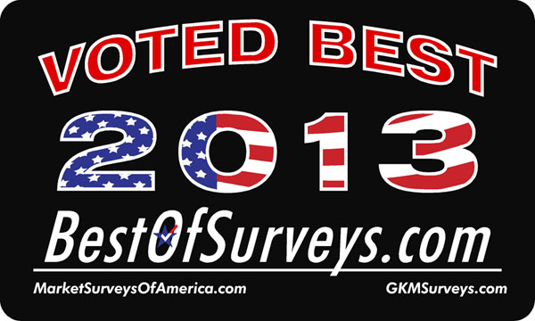 Best of Surveys 2013