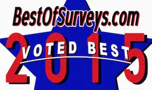 Best of Surveys 2015